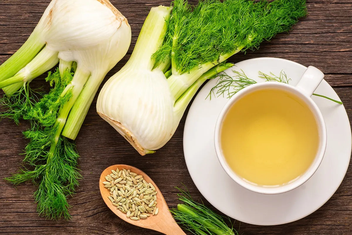 I benefici del finocchio, ortaggio amico della digestione