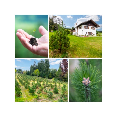Allgasan Lipid Special Care 100ml-3