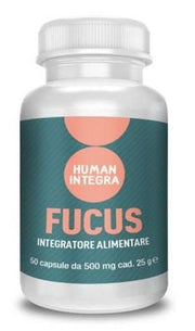 FUCUS ABROS 50CPS-1
