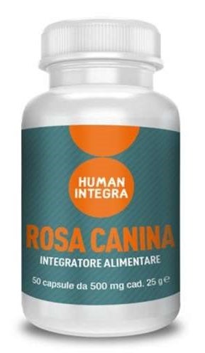ROSA CANINA ABROS 50CPS-1