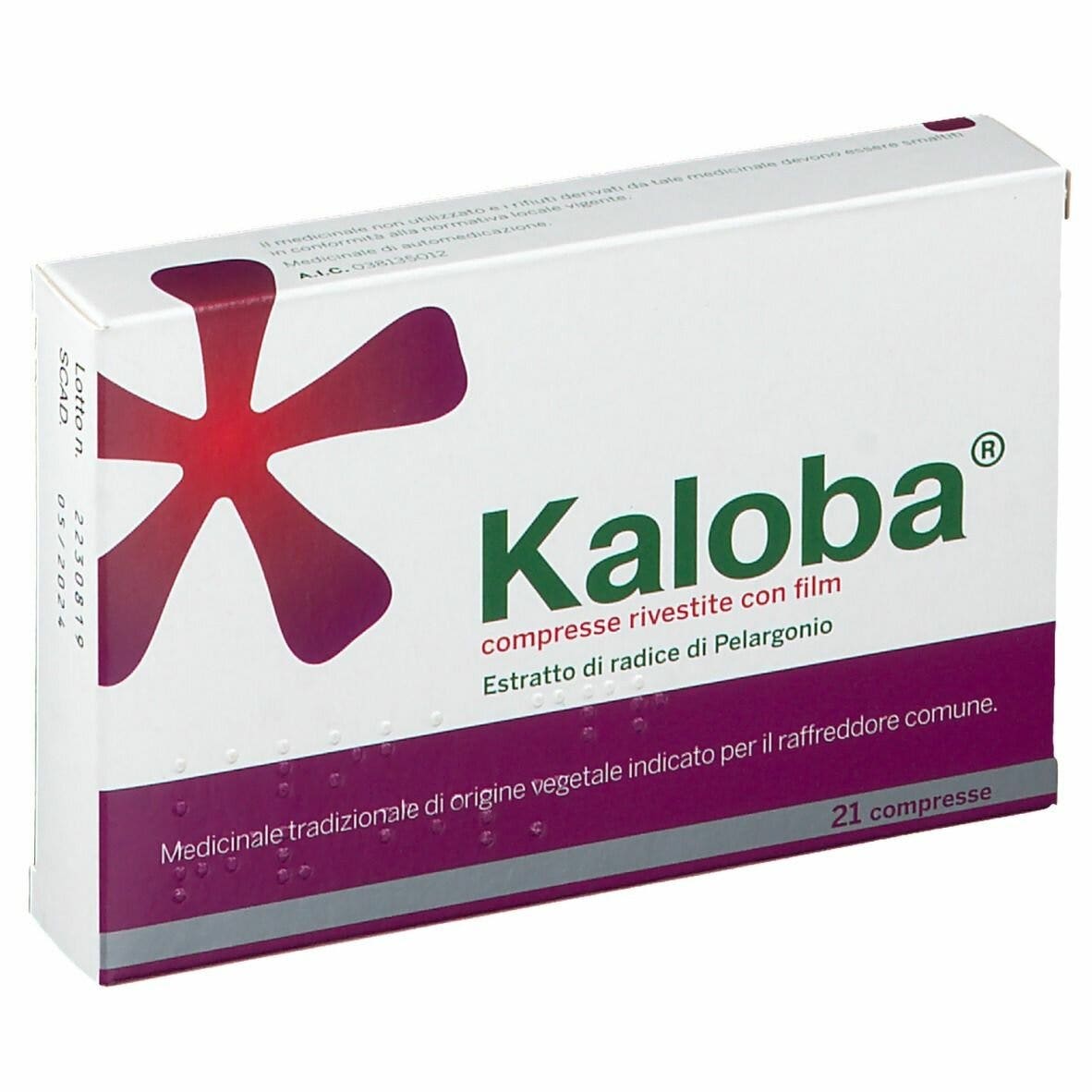 Kaloba 21 Compresse Rivestite 20mg-2