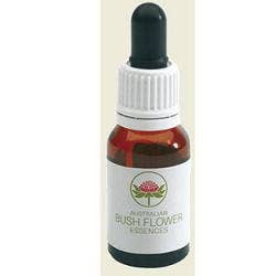 PINK FLANNEL FLW AUS BUSH 15ML-1