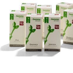 CISTO 50ML MG-1