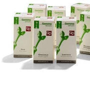 KIWI 50ML MG  - 1