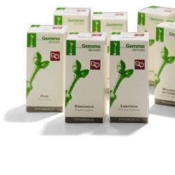 LENTISCO 100ML MG  - 1