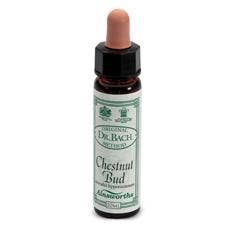 AINSWORTHS CHESTNUT BUD 10ML-1