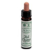 AINSWORTHS RED CHESTNUT 10ML-1