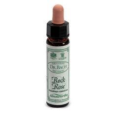 AINSWORTHS ROCK ROSE 10ML-1