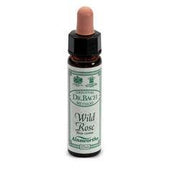 AINSWORTHS WILD ROSE 10ML-1