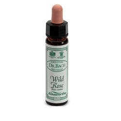 AINSWORTHS WILD ROSE 10ML-1