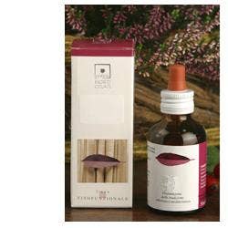 ACER CAMPESTRIS 50ML STV-1