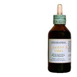 GIALLO TERRA SOL IAL 100ML-1