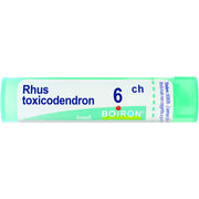 Boiron Rhus Toxicodendron 06Ch Tubo 80 Granuli 4g  - 1