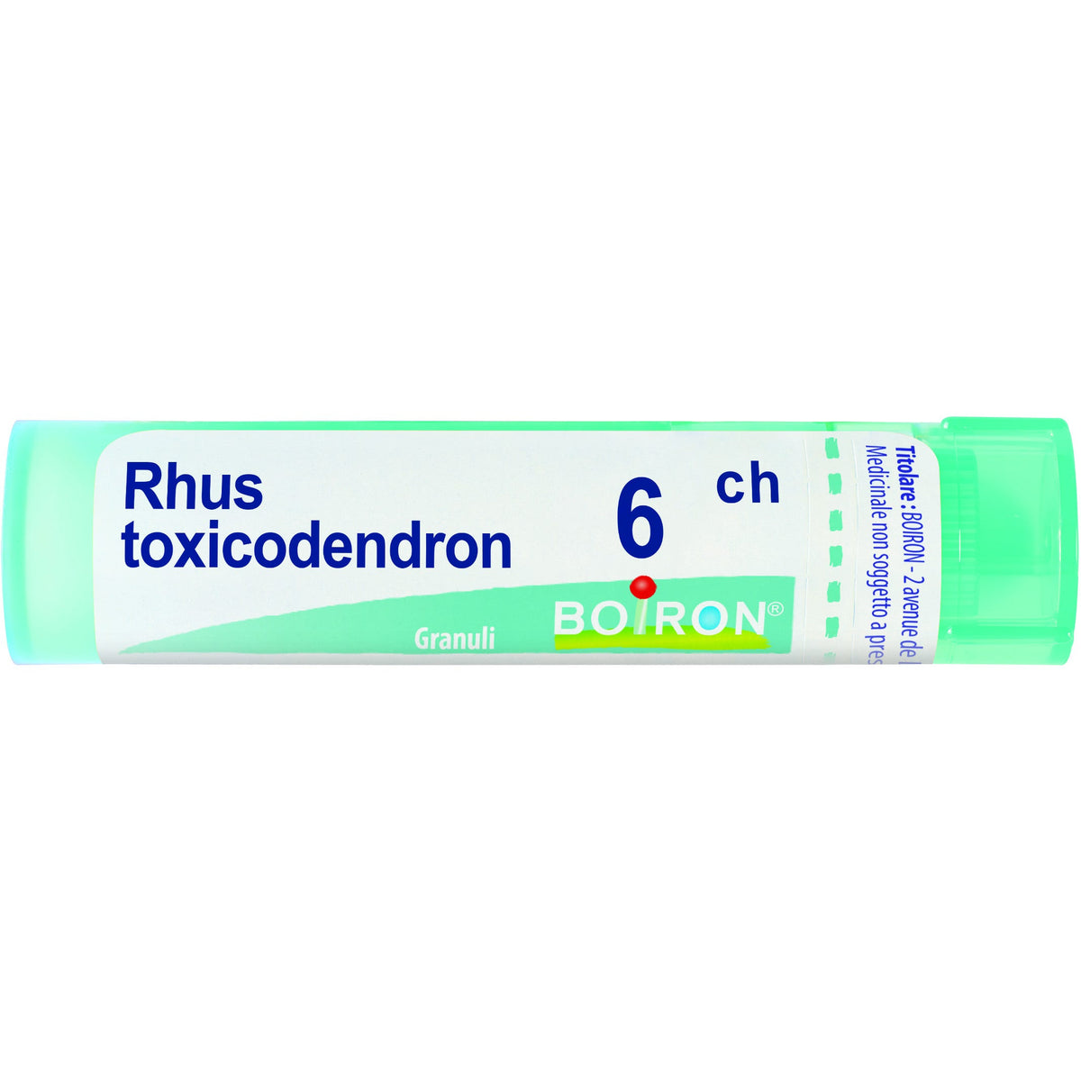 Boiron Rhus Toxicodendron 06Ch Tubo 80 Granuli 4g  - 1