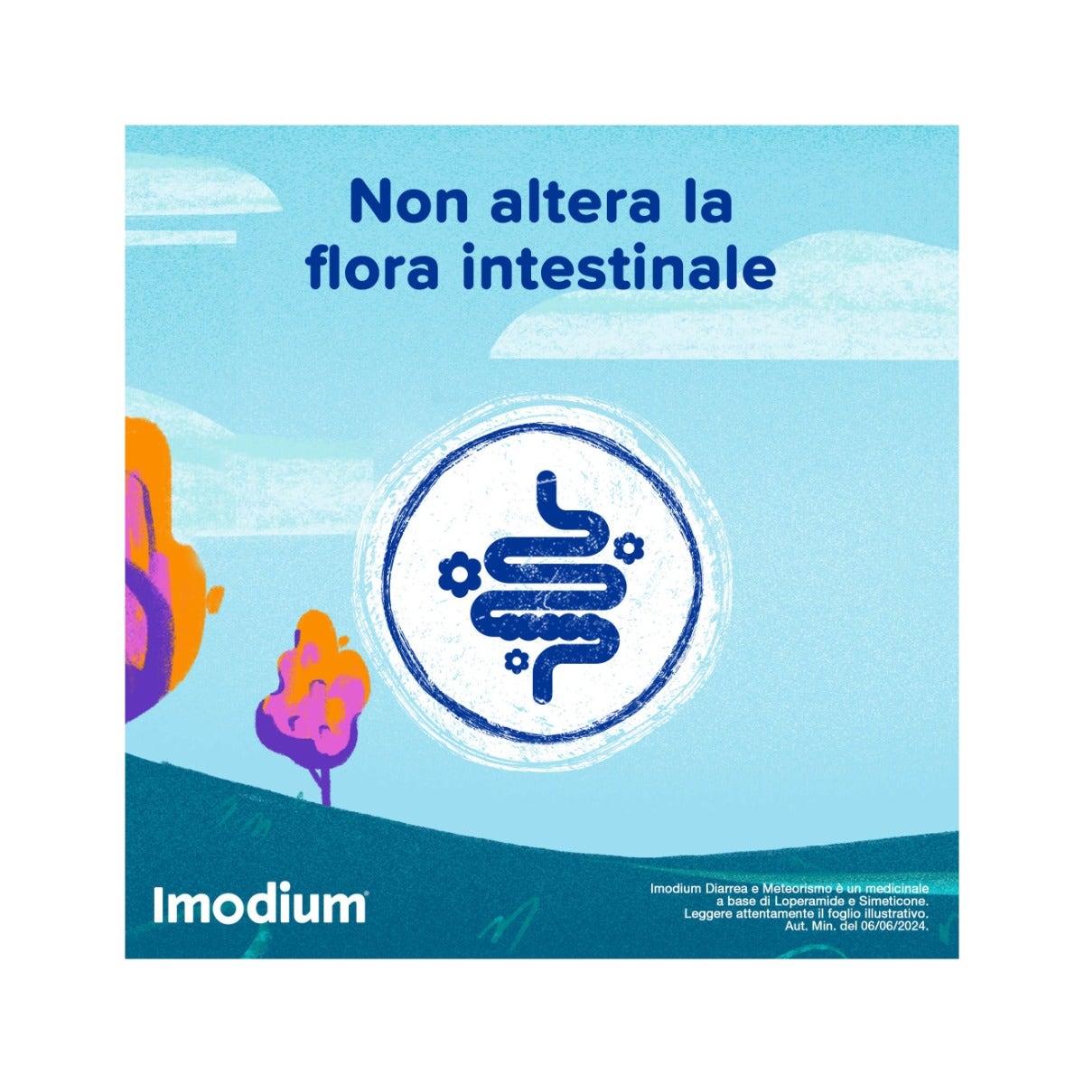 Imodium Diarrea e Meteorismo 12 Compresse-22