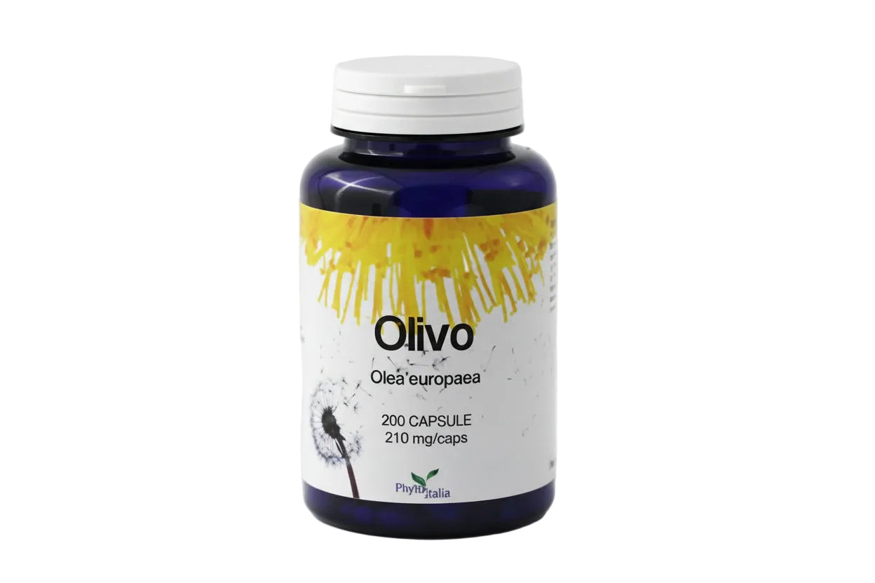 OLIVO 60CPS-1