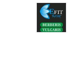 BERBERIS VUL EF TIT 98% 500G-1