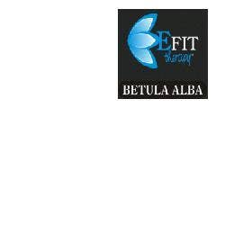 BETULA ALBA EF 30ML-1