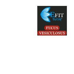 FUCUS VESICULOSUS EF 30ML-1