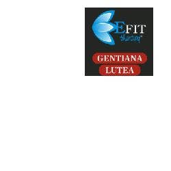 GENTIANA LUTEA EF 30ML-1
