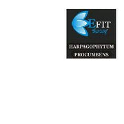 HARPAGOPHYTUM PRO EF 30ML-1