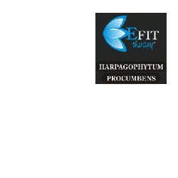 HARPAGOPHYTUM PRO EF 30ML-1