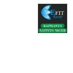 RAPHANUS SATIVUS NIGER EF 30ML-1