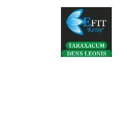 TARAXACUM DENS LEO EF 30ML-1