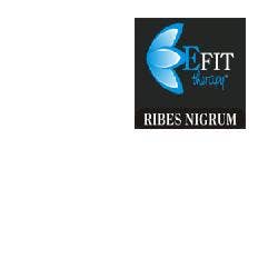 RIBES NIGRUM EF 30ML-1