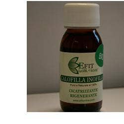 CALOFILLA TAMANU OLIO VEG 100M-1