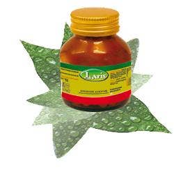 DAMIANA 60CPS-1