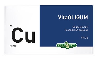 VITAOLIGUM RAME 20F-1