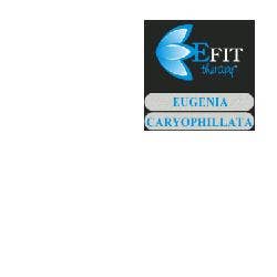 EUGENIA CARYOPHYLLATA EF 30ML-1
