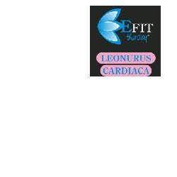 LEONURUS CARDIACA EF 30ML-1
