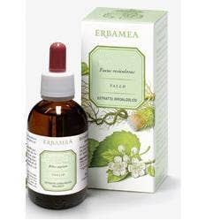 GINKGO BILOBA FOGLIE EI 50ML-1