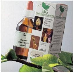 SANGUINELLO MG 100ML-1