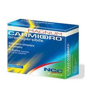 CARMIOORO MAGNUM 40BUST  - 1