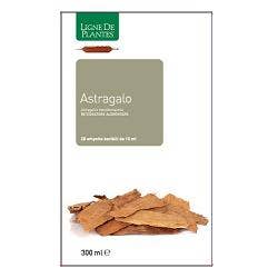 ASTRAGALO 20AMPOLLE 15ML-1