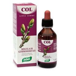 ZEFIRUS COL LINEA GEMME-1