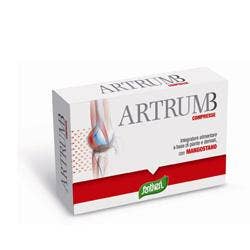 ARTRUM B C/MANGOST 48CPR 31G-1