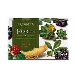 FORTE 24CPS-1