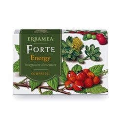 FORTE ENERGY 24CPR-1