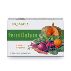 FERRONATURA 24CPS 530MG-1