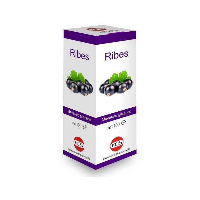 Ribes Nigrum Macerato Glicerico Gocce 100ml   - 2