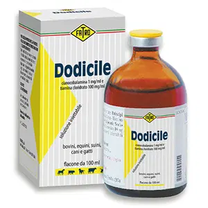 Dodicile Soluzione Iniettabile 100ml
