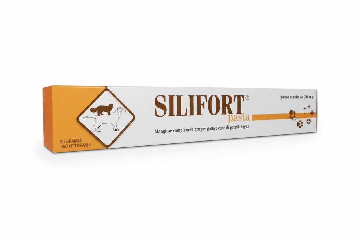 SILIFORT PASTA OS SIRINGA 30G  - 1