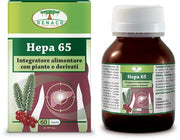 HEPA 65 60CPS-1