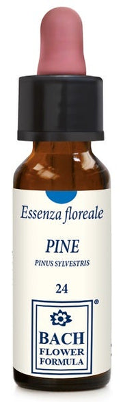 PINE ORIGINAL 10ML GTT-1