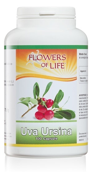 UVA URSINA 100CPS FLOWERS OF L-1