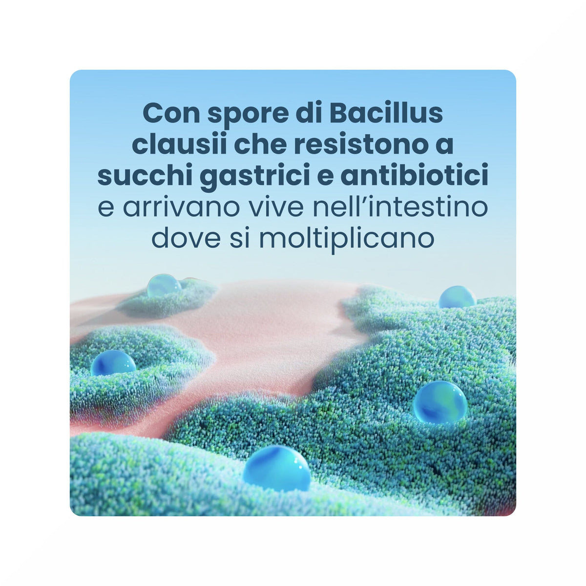 Enterogermina 2 Miliardi Fermenti Lattici Probiotici per Disturbi Intestinali 20 Fiale-5